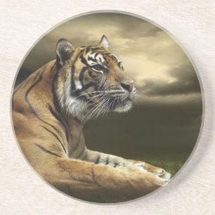 Dessous De Verre En Grès Tigre regardant et se reposant sous le ciel