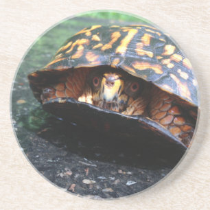 Dessous De Verre En Grès Tortue