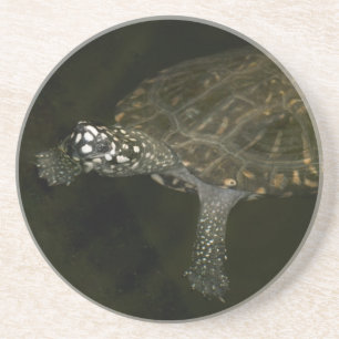 Dessous De Verre En Grès Tortue de natation