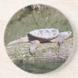 Dessous De Verre En Grès Tortue Snapping