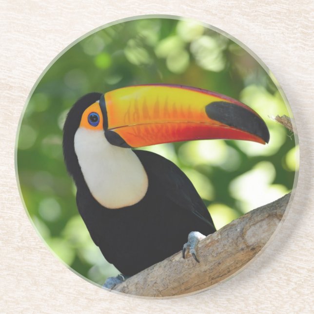 Dessous De Verre En Grès Toucan (Devant)