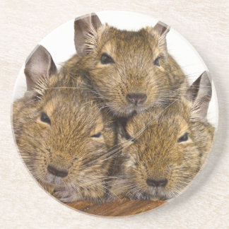 Dessous De Verre En Grès Trio somnolant de Degu