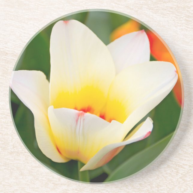Dessous De Verre En Grès Tulipe (Devant)