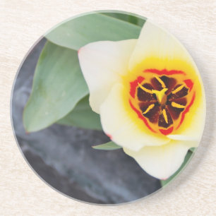 Dessous De Verre En Grès Tulipe