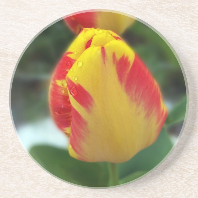 Dessous De Verre En Grès tulipe rouge jaune (Devant)