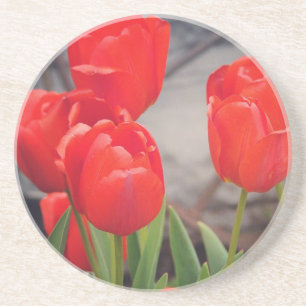 Dessous De Verre En Grès Tulipes de dernier printemps.  Rêve du printemps.