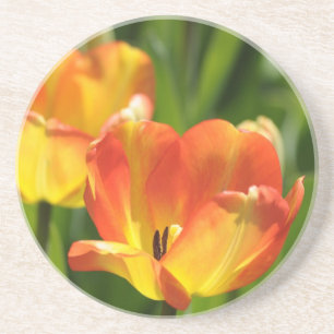 Dessous De Verre En Grès Tulipes rouges et jaunes dans un jardin printanier