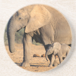 Dessous De Verre En Grès Une mère éléphant d'Afrique et son petit en mouvem
