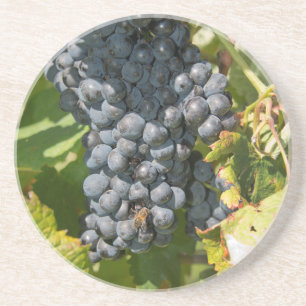 Dessous De Verre En Grès Uruguay, Montevideo, Colon Area. Bodegas