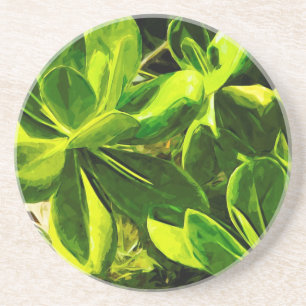 Dessous De Verre En Grès Vert Succulent Ocean Beach Plante Abstrait