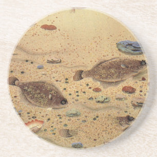 Dessous De Verre En Grès Vintages, Marine Ocean Life Poisson plat