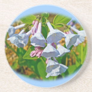 Dessous De Verre En Grès Virginia Bluebells Fleur sauvage