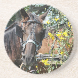 Dessous De Verre En Grès Waiting amish horse
