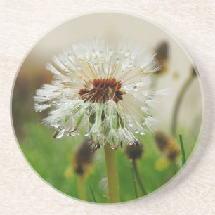 Dessous De Verre En Grès Wet Dandelion