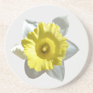 Dessous De Verre En Grès White Daffodil Sandstone Coaster