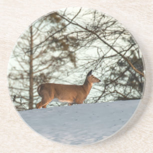 Dessous De Verre En Grès White Tailed