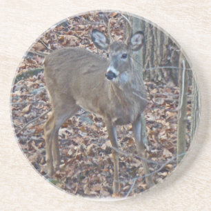 Dessous De Verre En Grès Whitetail Deer Spike Buck Series