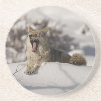 Dessous De Verre En Grès Yawn Neige Coyote