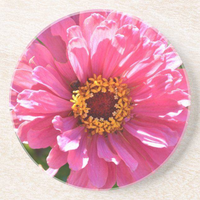 Dessous De Verre En Grès Zinnia rose (Devant)