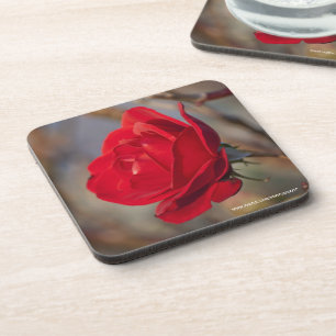 Dessous de verre en liège à rose rouge