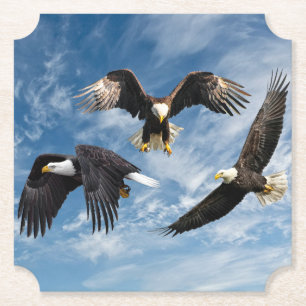 Dessous-de-verre En Papier Aigle à tête blanche