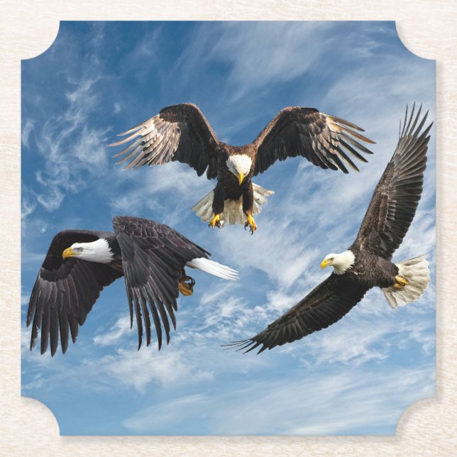 Dessous-de-verre En Papier Aigle à tête blanche (Devant)