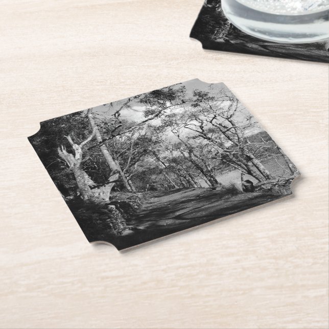 DESSOUS-DE-VERRE EN PAPIER ARBRES (Incliné)