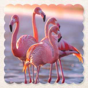 Dessous-de-verre En Papier Beaux Flamants Roses Tropicaux