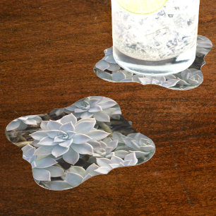 Dessous-de-verre En Papier Beaux succulents Botanique Photographie