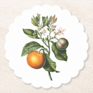 Dessous-de-verre en papier: BITTER ORANGE BLOSSOM