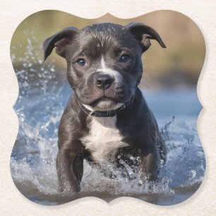 Dessous-de-verre En Papier "Chasseur de vagues : un chiot Staffy à jouer dans