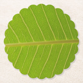 Dessous-de-verre En Papier Conception de la feuille verte naturelle et de la 
