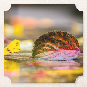 Dessous-de-verre En Papier Couleurs d'automne