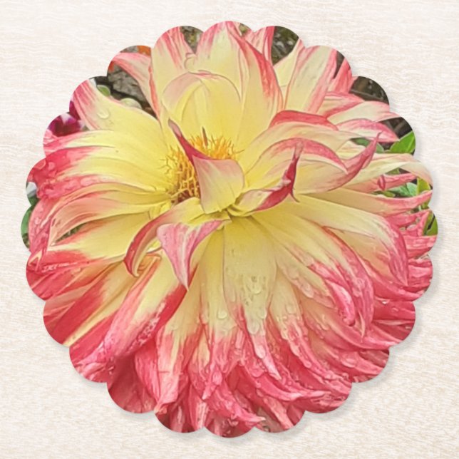 Dessous-de-verre En Papier Dahlia rose et jaune (Devant)
