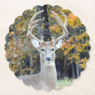 Dessous-de-verre En Papier Dessous de verre Big Buck Antlers