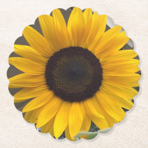 Dessous-de-verre En Papier Dessous de verre de tournesol
