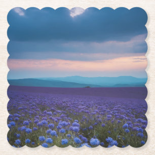 Dessous-de-verre En Papier Fleurs sauvages violets