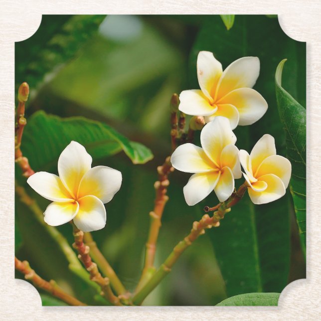 Dessous-de-verre En Papier Frangipani jaune (Devant)