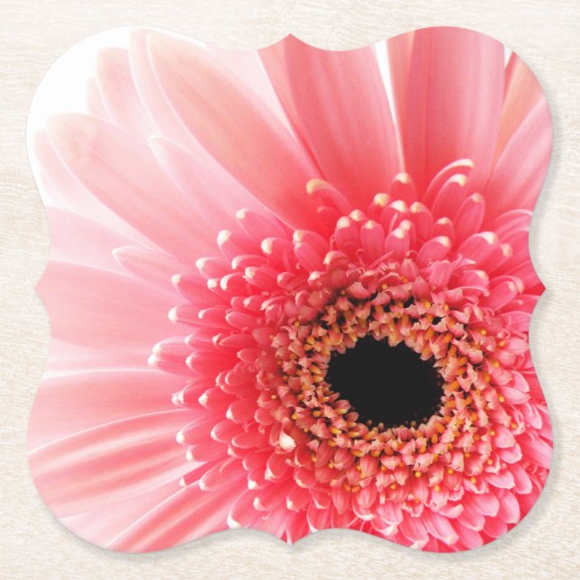 Dessous-de-verre En Papier Gerbera Rose Daisy (Devant)