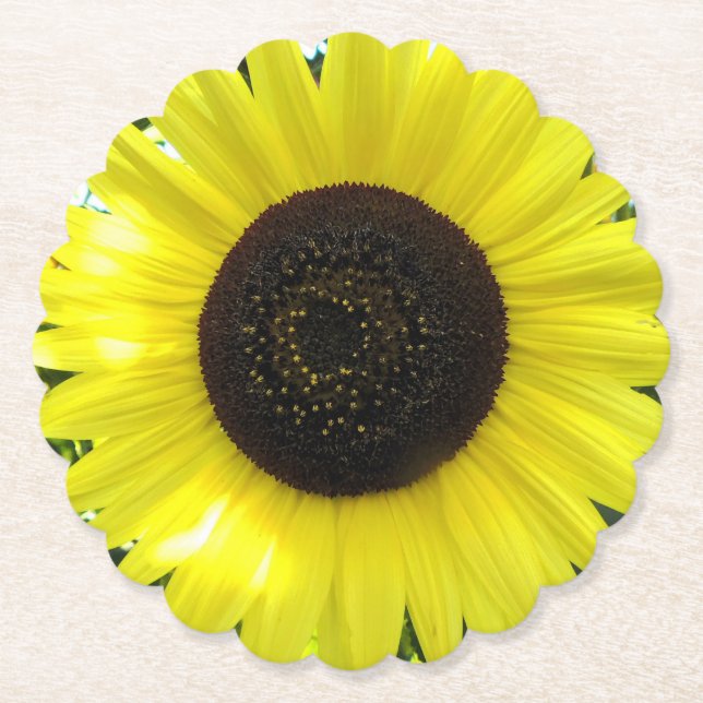 Dessous-de-verre En Papier Jardin d'été (Devant)