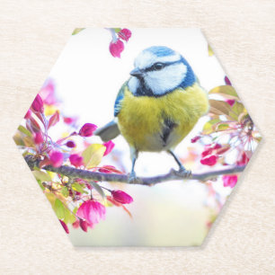 Dessous-de-verre En Papier Joli oiseau bleu et jaune sur une branche Photogra