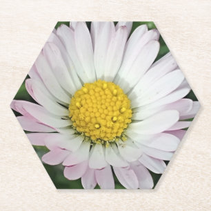 Dessous-de-verre En Papier Jolie marguerite