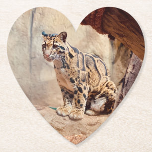 Dessous-de-verre En Papier léopard nébuleux image nature faune exotique