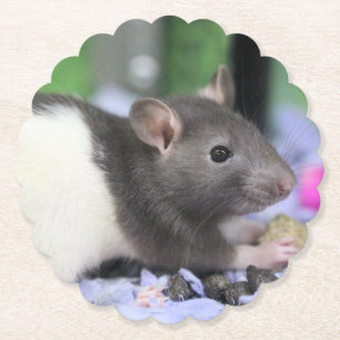 Dessous-de-verre En Papier Lil rat