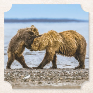 Dessous-de-verre En Papier Ours brun côtier