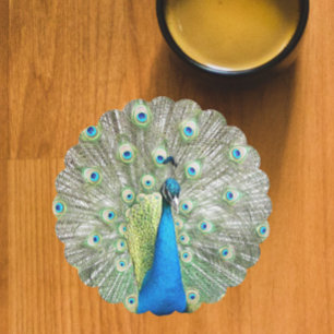 Dessous-de-verre En Papier Plumage bleu Peacock