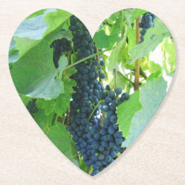 Dessous-de-verre En Papier Raisins bleus