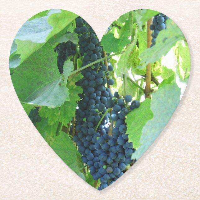 Dessous-de-verre En Papier Raisins bleus (Devant)