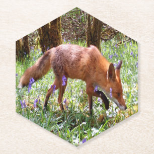 Dessous-de-verre En Papier Renard roux Forêt de jacinthes bleues fleuries ins