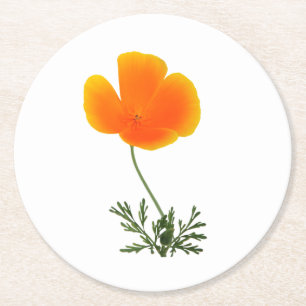dessous de verre en papier rond coquelicot orange